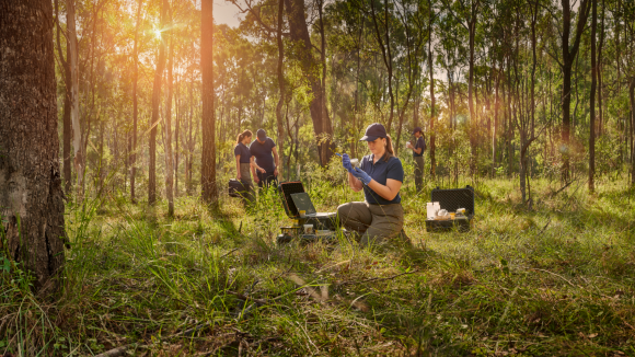 People testing things in the bush