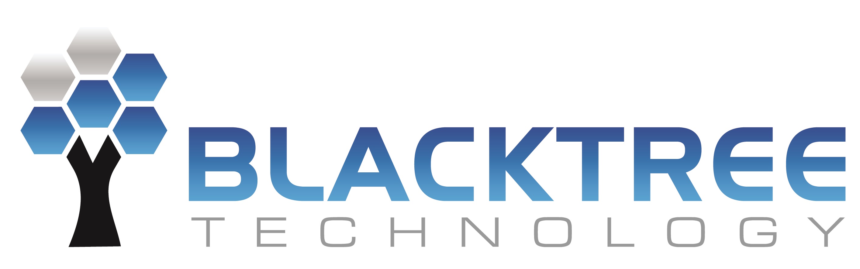 Blacktree Technology Pty Ltd logo