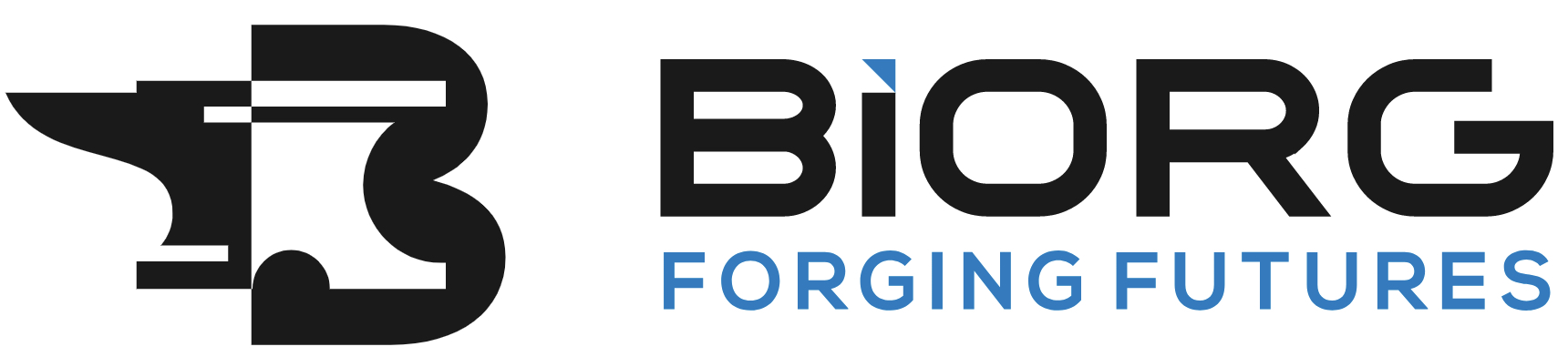 BiORG Pty Ltd logo